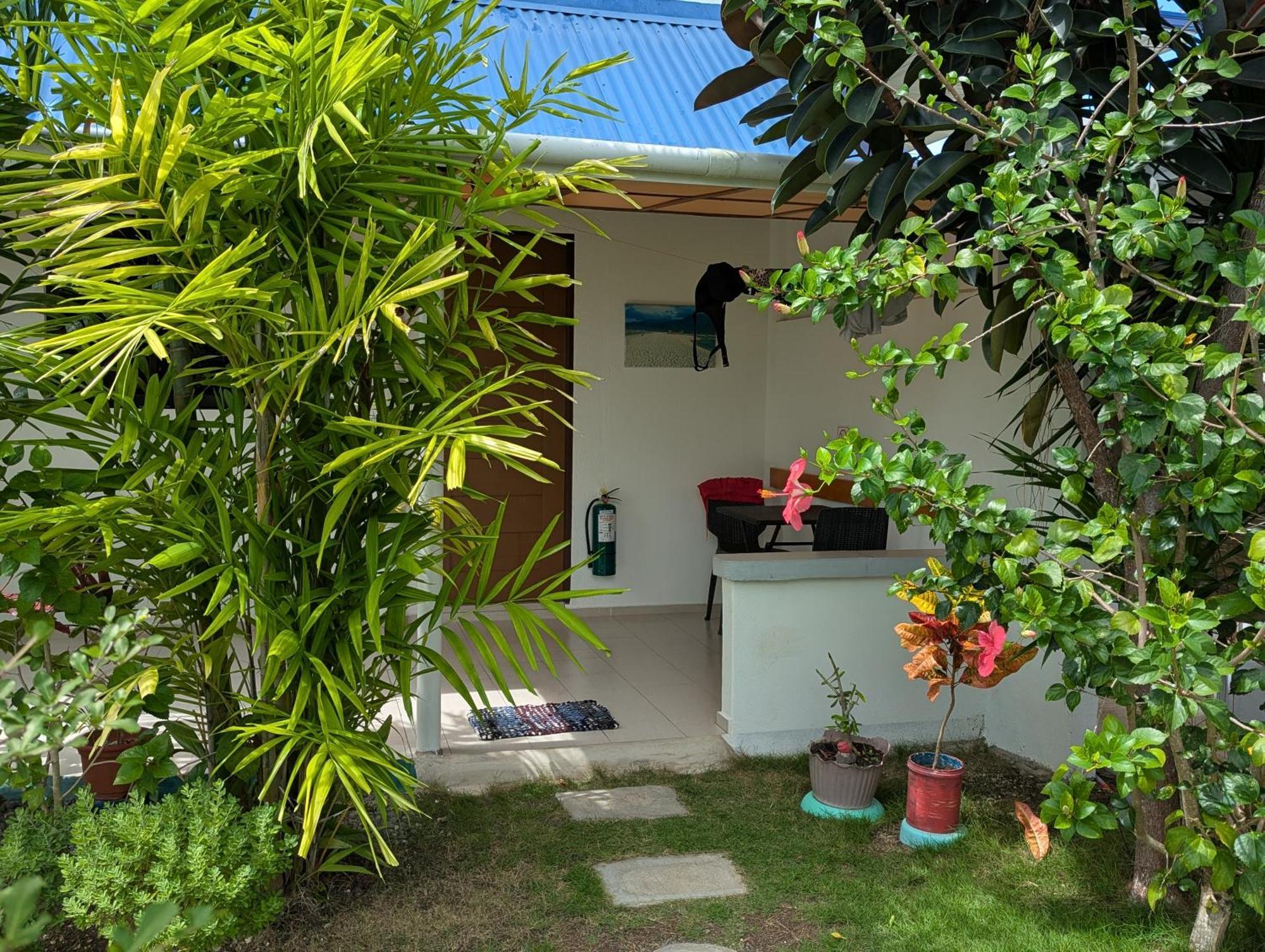 Astillo's Guest Houses Moalboal Chambre photo